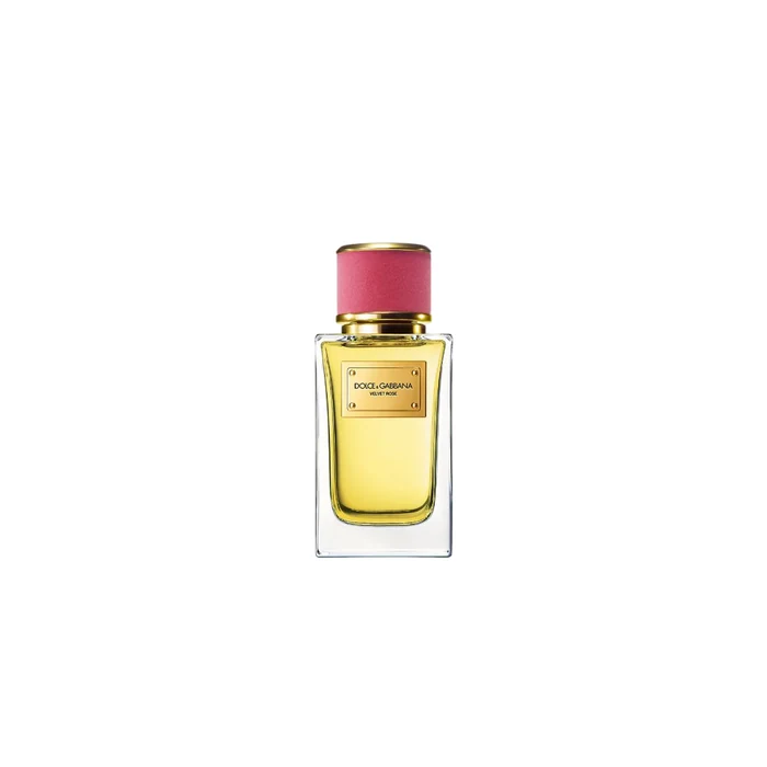 Dolce & Gabbana Velvet Rose