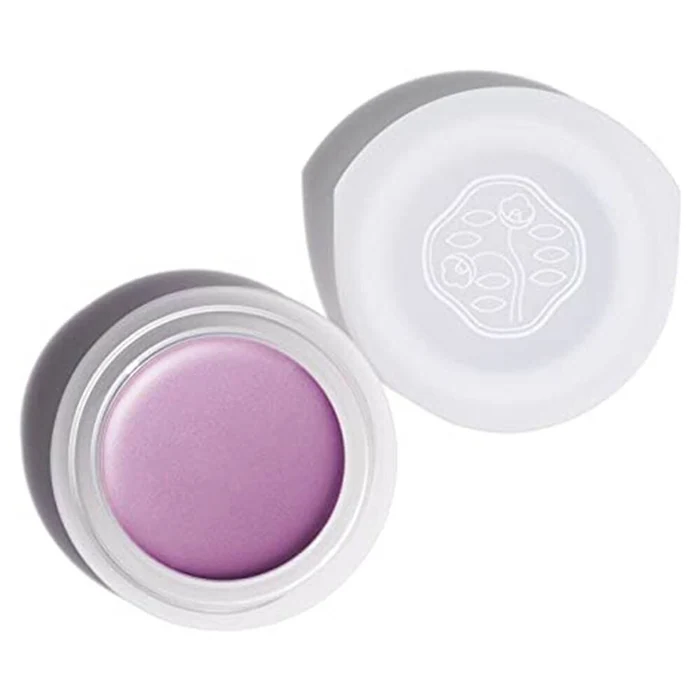 Shiseido Paperlight Vi304 Shobu Purple
