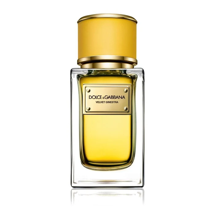 Dolce & Gabbana Velvet Ginestra