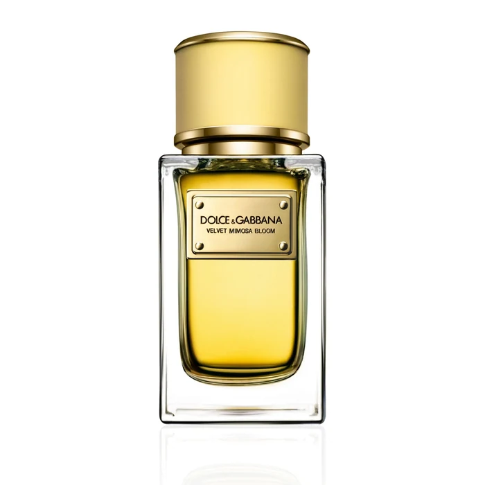 Dolce & Gabbana Velvet Mimosa Bloom
