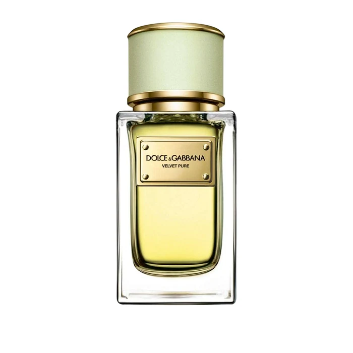 Dolce & Gabbana Velvet Pure