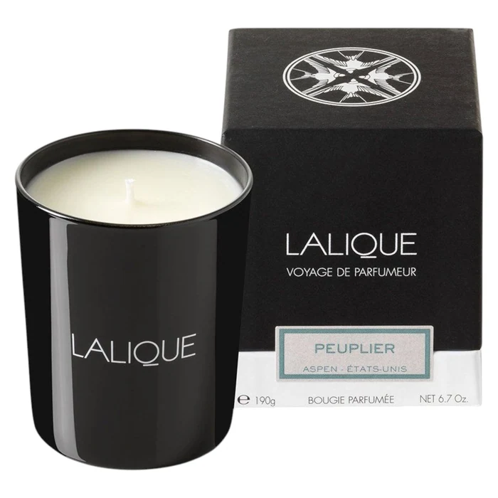 Lalique Peuplier Aspen Etats-Unis