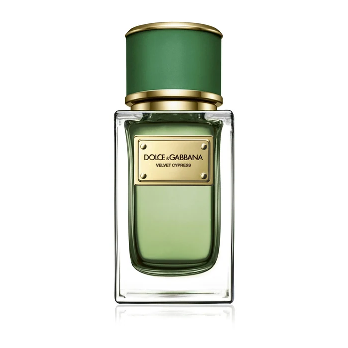 Dolce & Gabbana Velvet Cypress