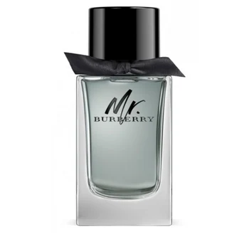 Burberry Mr. Burberry – tester