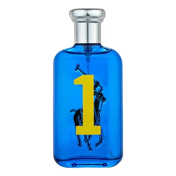 Ralph Lauren Big Pony 1