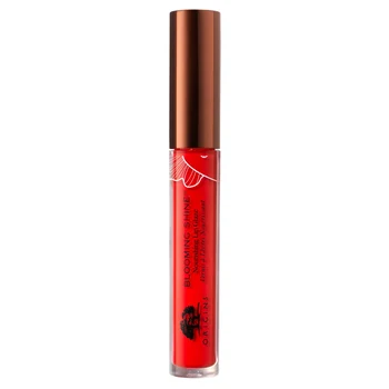 Origins Blooming Shine 06 Petal Punch