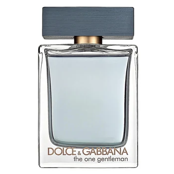Dolce & Gabbana The One Gentleman
