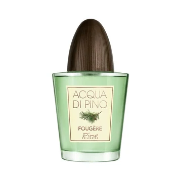 Pino Silvestre Acqua Di Pino Fougere