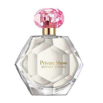 Britney Spears Private Show