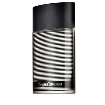 Ermenegildo Zegna Zegna Intenso