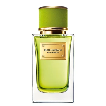 Dolce & Gabbana Velvet Mughetto