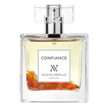 Valeur Absolue Confiance