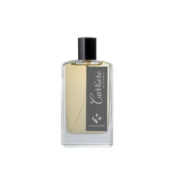 Luxury Concept Carriere