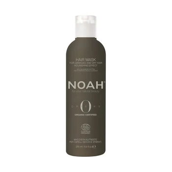 Noah Origins