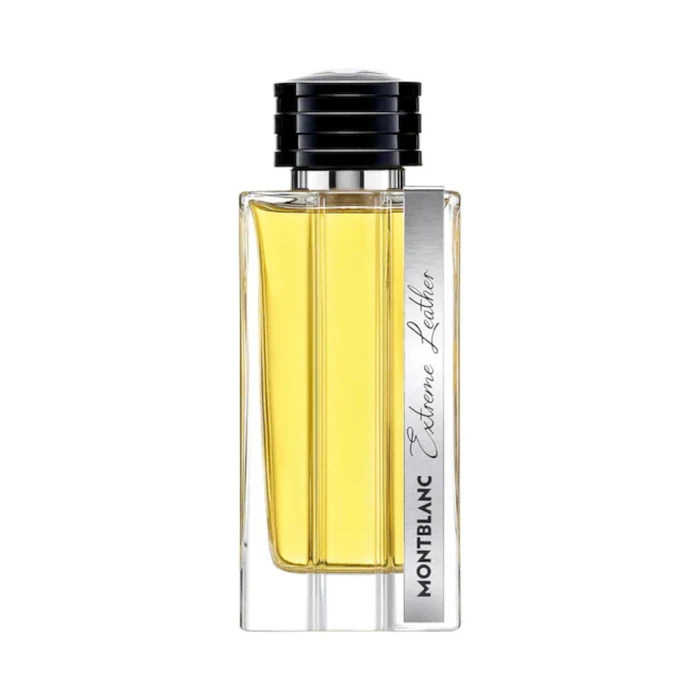 Mont Blanc Extreme Leather