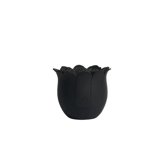 Cere Diviner Black