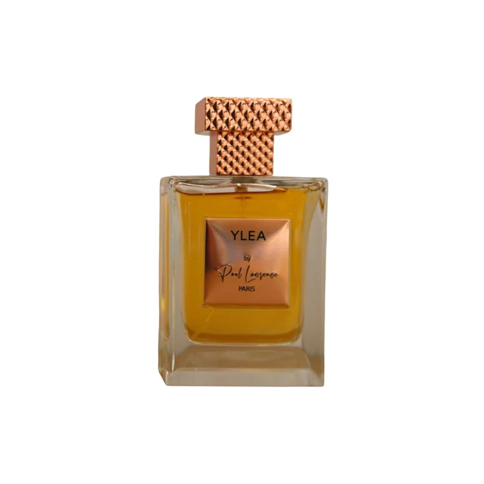Paul Lawrence Ylea – Tester