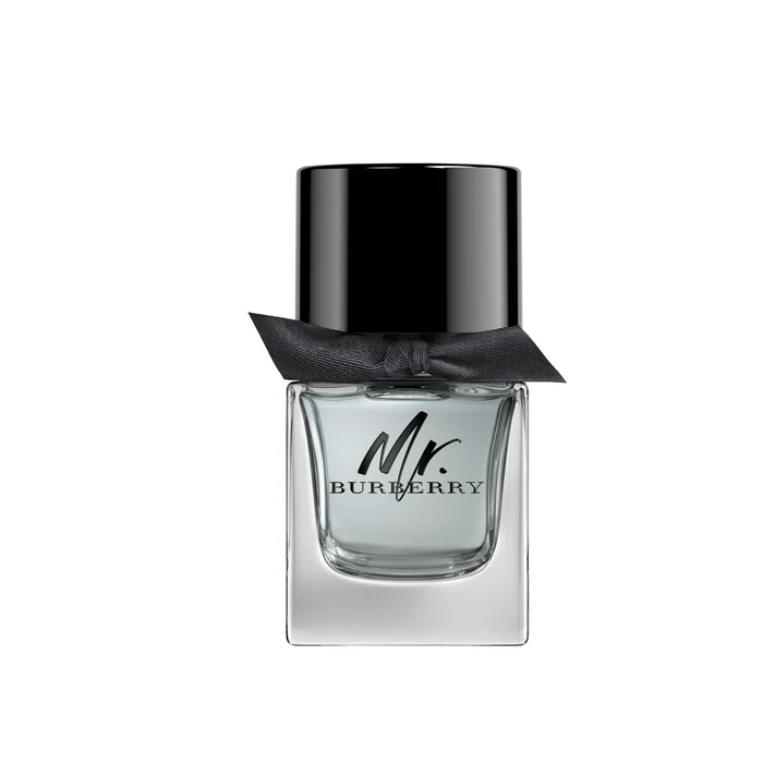 Burberry Mr. Burberry – tester