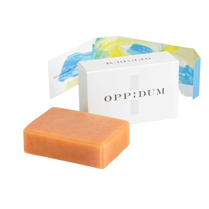 Oppidum Orange Le Soleil